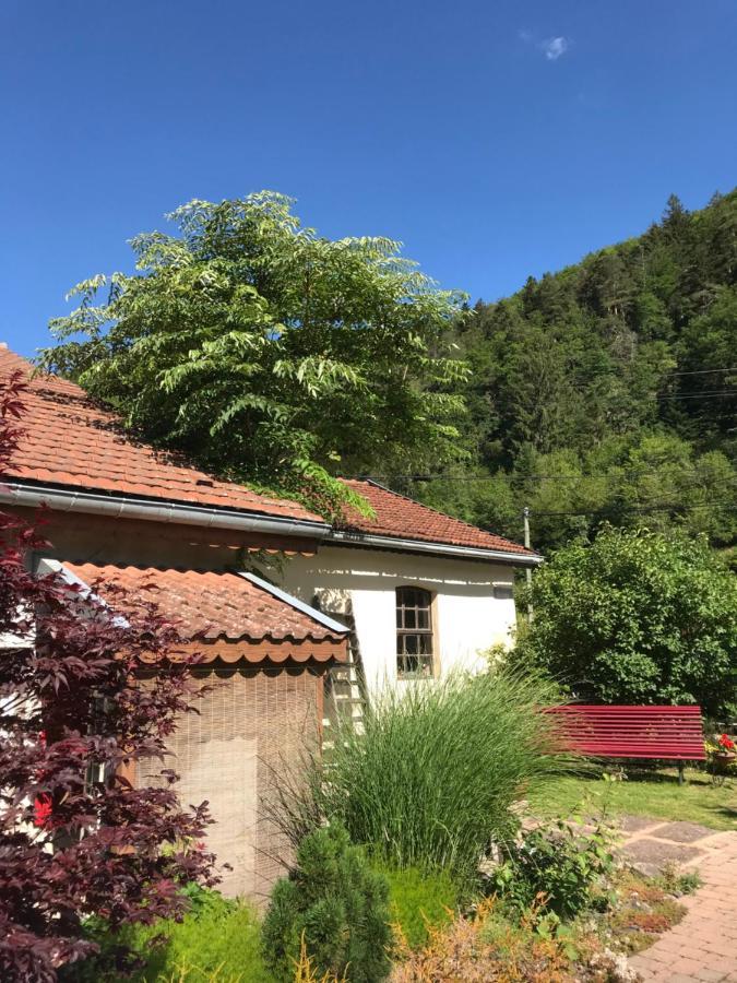 Gîte de la Mésange Rochesson Extérieur photo