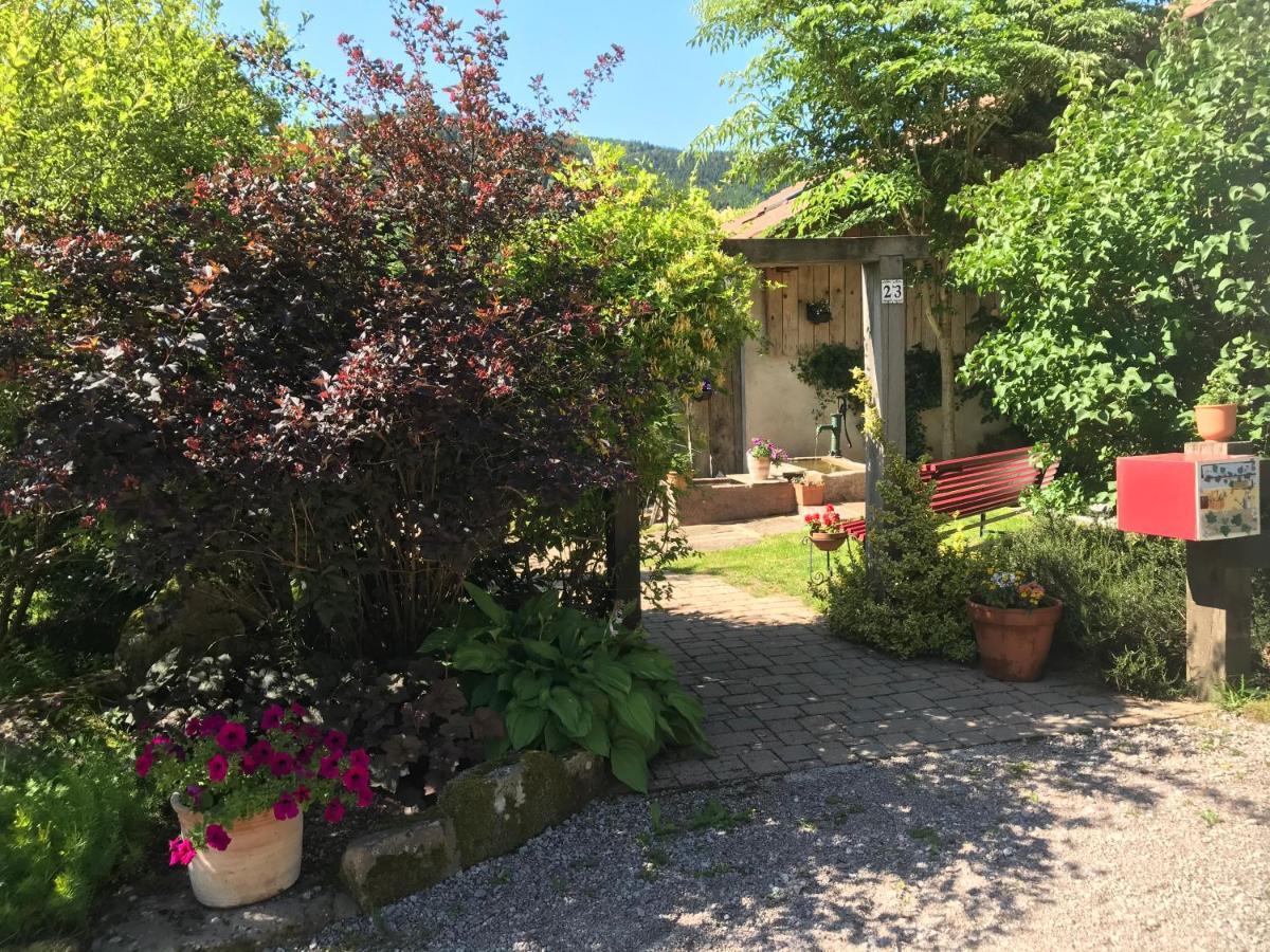 Gîte de la Mésange Rochesson Extérieur photo
