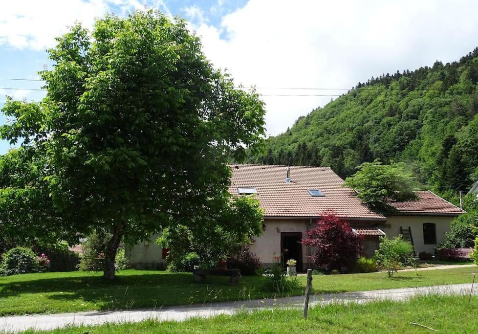 Gîte de la Mésange Rochesson Extérieur photo
