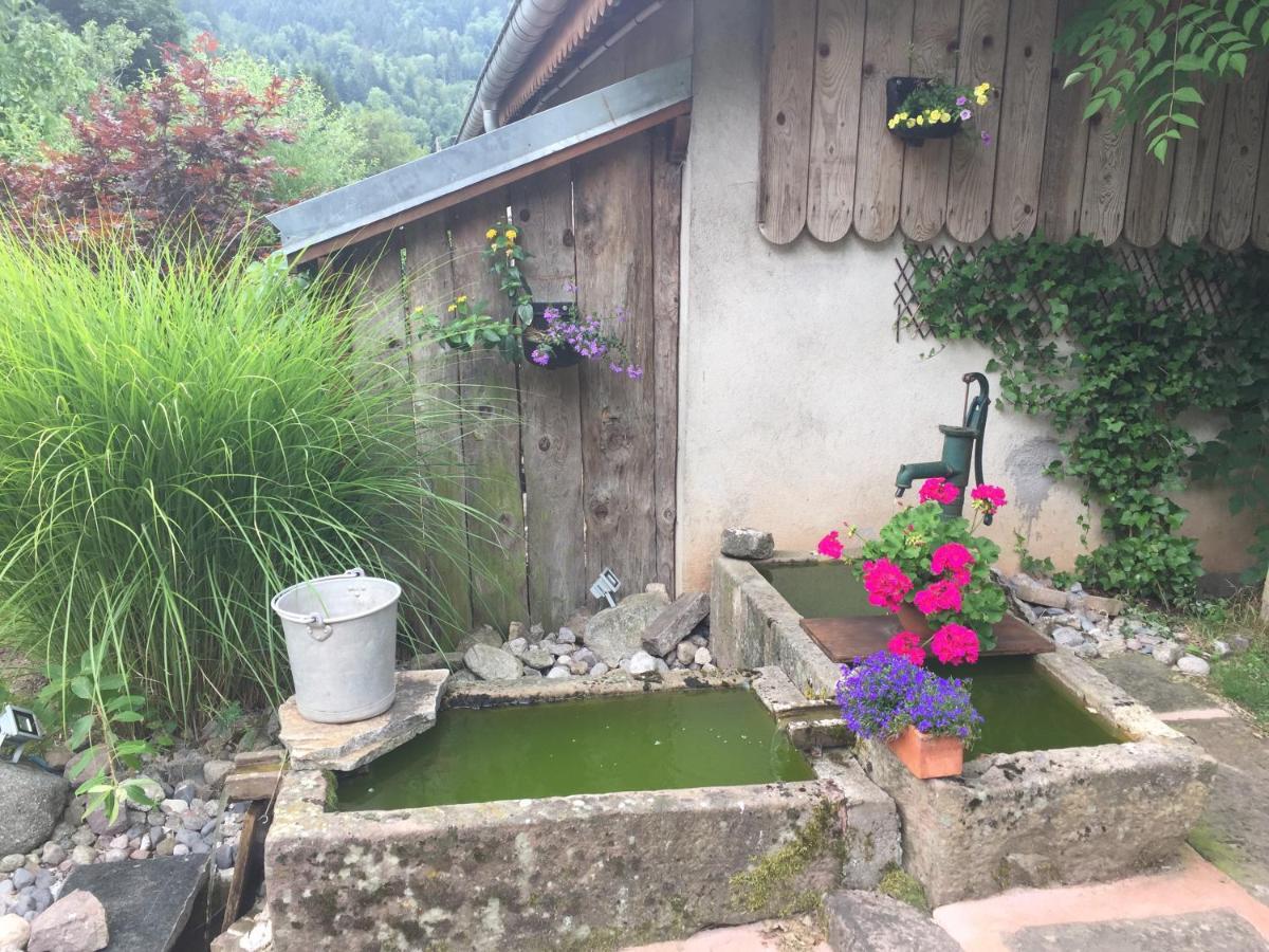 Gîte de la Mésange Rochesson Extérieur photo